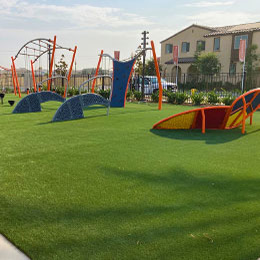 playground with green grass