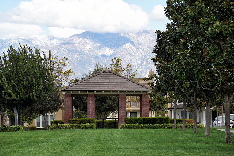 Park with mountain background - The Preserve at Chino