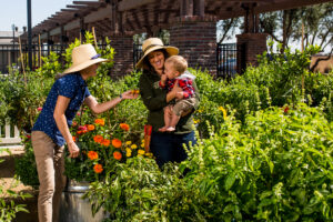 Community Garden at The Preserve at Chino