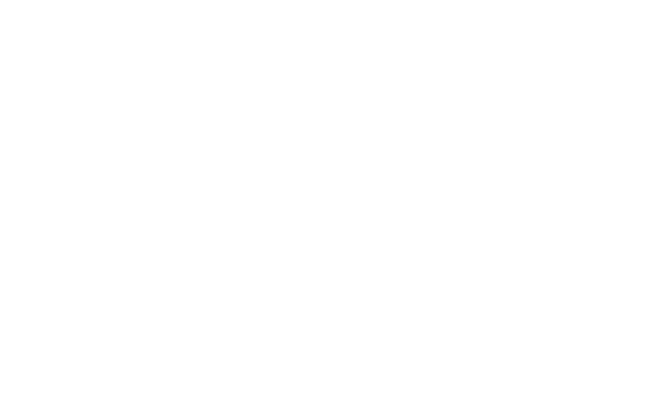Essence at The Preserve